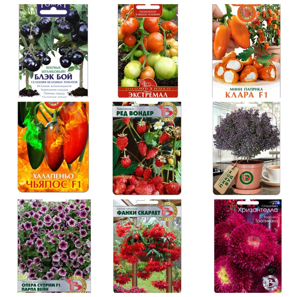 Сбор до 30.10. Семена от компании Биотехника. 4/2022 Сбор до 30.10. Семена от компании Биотехника. 4/2022