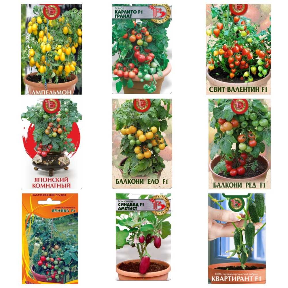 Огород на подоконнике Огород на подоконнике