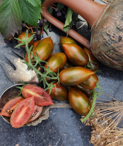 Новинка сезона! Томат Эмалия Новинка сезона! Томат Эмалия