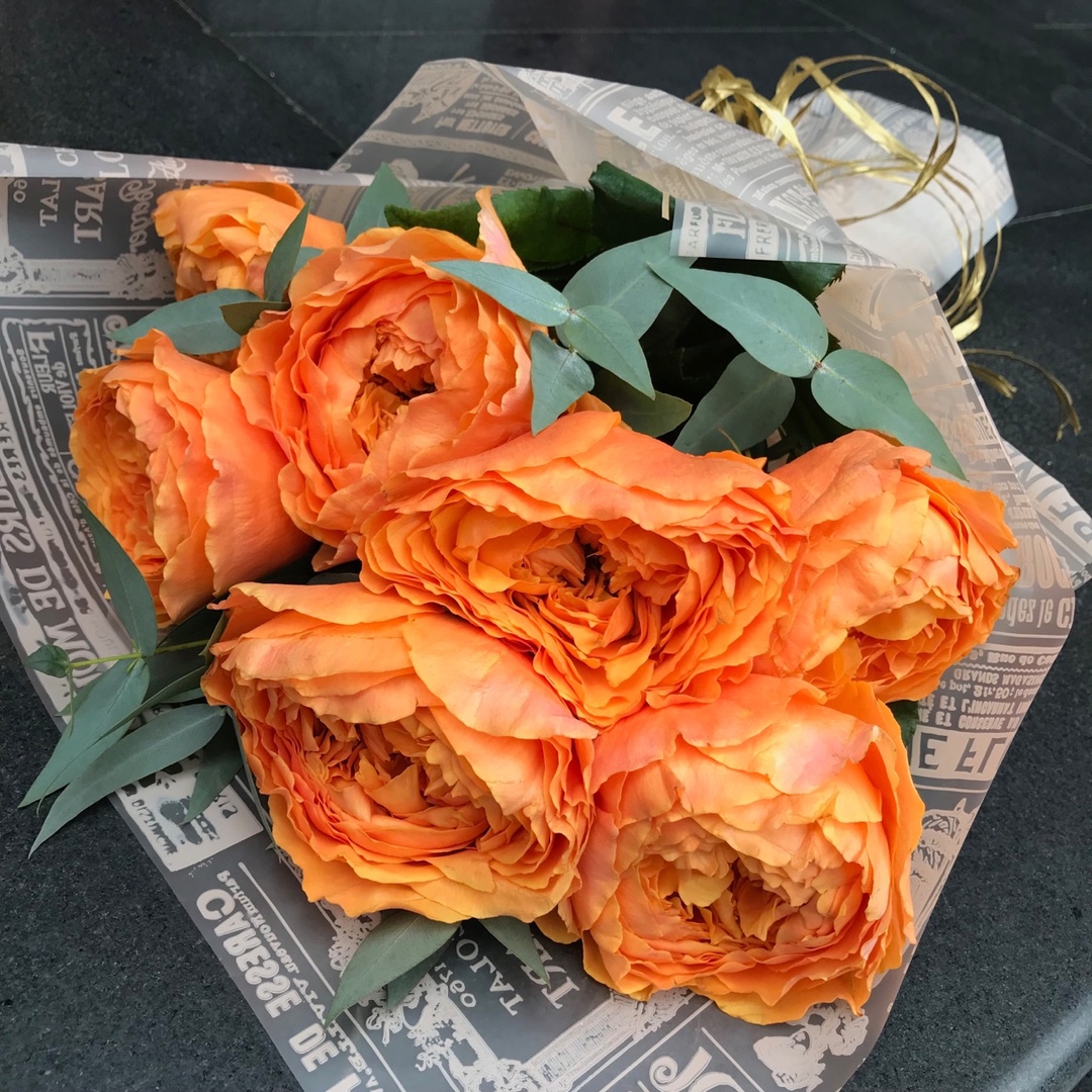 Саженцы роз, не превзойденных по выносливости, проверенной годами! Саженцы роз, не превзойденных по выносливости, проверенной годами!