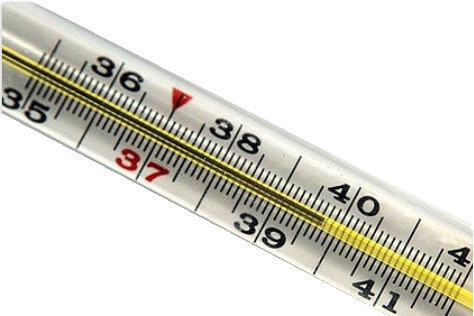 Уважаемые участники! Я сильно болею гриппом, отвечать на личку и вопросы быстро не смогу Уважаемые участники! Я сильно болею гриппом, отвечать на личку и вопросы быстро не смогу