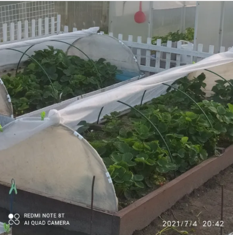 ВЫРАСТИТЬ И СОХРАНИТЬ! Рассаду овощных и цветочных культур помогут садовые парники, которые поддерживают оптимальный микроклимат в прохладное время года и защищают семена от птиц и насекомых. ВЫРАСТИТЬ И СОХРАНИТЬ! Рассаду овощных и цветочных культур помогут садовые парники, которые поддерживают оптимальный микроклимат в прохладное время года и защищают семена от птиц и насекомых.