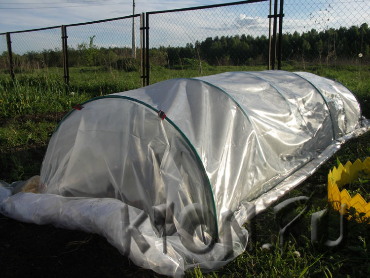 НЕЗАМЕНИМЫЙ ПОМОЩНИК ЛЮБОГО САДОВОДА!Дуги для парника используют для временного укрытия многих овощных культур, для укрытия цветов и кустов на зиму. НЕЗАМЕНИМЫЙ ПОМОЩНИК ЛЮБОГО САДОВОДА!Дуги для парника используют для временного укрытия многих овощных культур, для укрытия цветов и кустов на зиму.