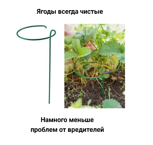 Подставка под клубнику - незаменимая вещь в арсенале каждого садовода. Данное изделие обеспечит комфортное размещение и рост клубники, а также защитит ягоды от неблагоприятных внешних факторов. Подставка под клубнику - незаменимая вещь в арсенале каждого садовода. Данное изделие обеспечит комфортное размещение и рост клубники, а также защитит ягоды от неблагоприятных внешних факторов.