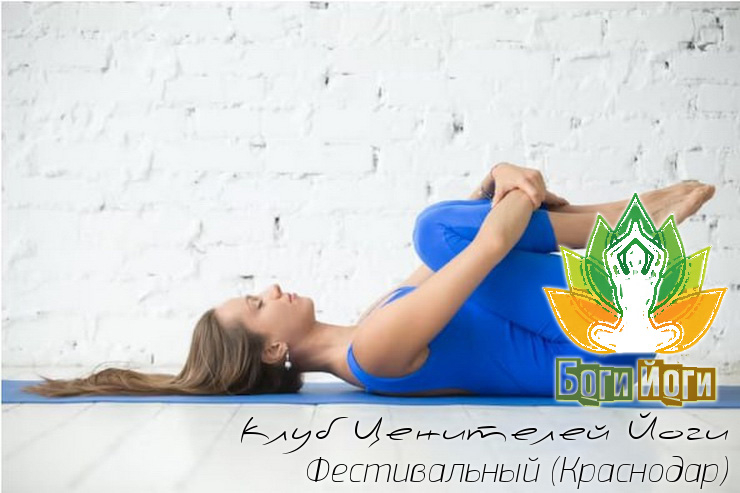 Школа йоги Боги-Йоги рассказала о возобновлении набора в группы дневной йоги в Краснодаре на Фестивальном Школа йоги Боги-Йоги рассказала о возобновлении набора в группы дневной йоги в Краснодаре на Фестивальном