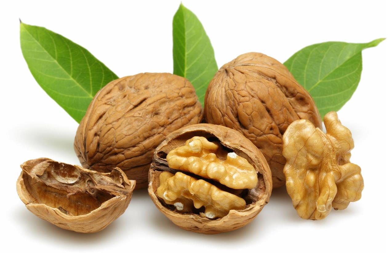 Грецкий орех очищенный. 450 руб. за кг! Грецкий орех очищенный. 450 руб. за кг!