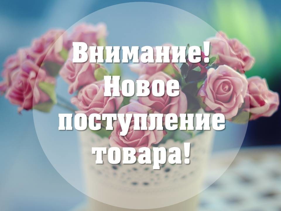 Playtoday! Орг сбор 13%! Новая коллекция Весна-Лето 2024 Playtoday! Орг сбор 13%! Новая коллекция Весна-Лето 2024