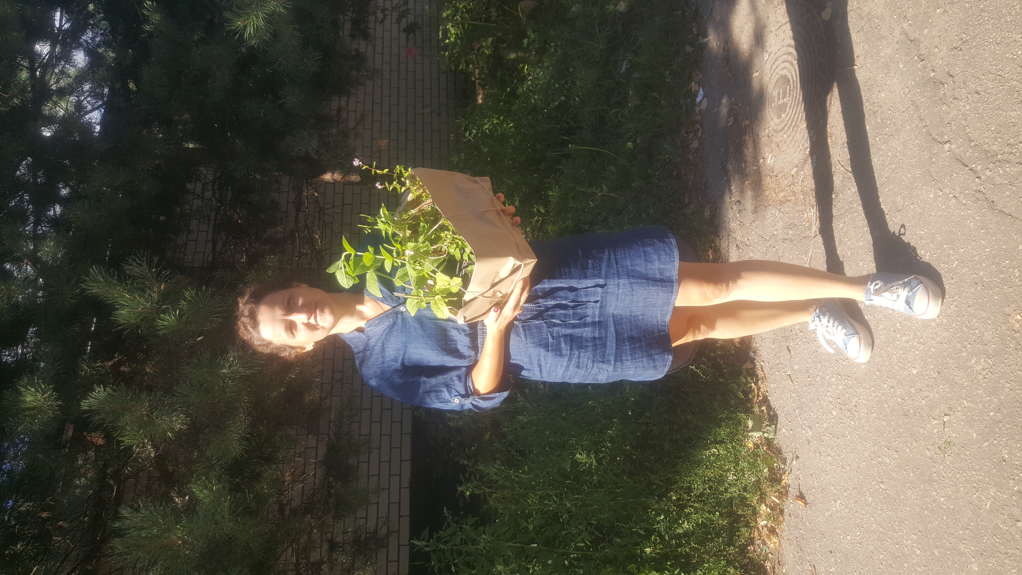 Питомник в грядке. Питомник в грядке.