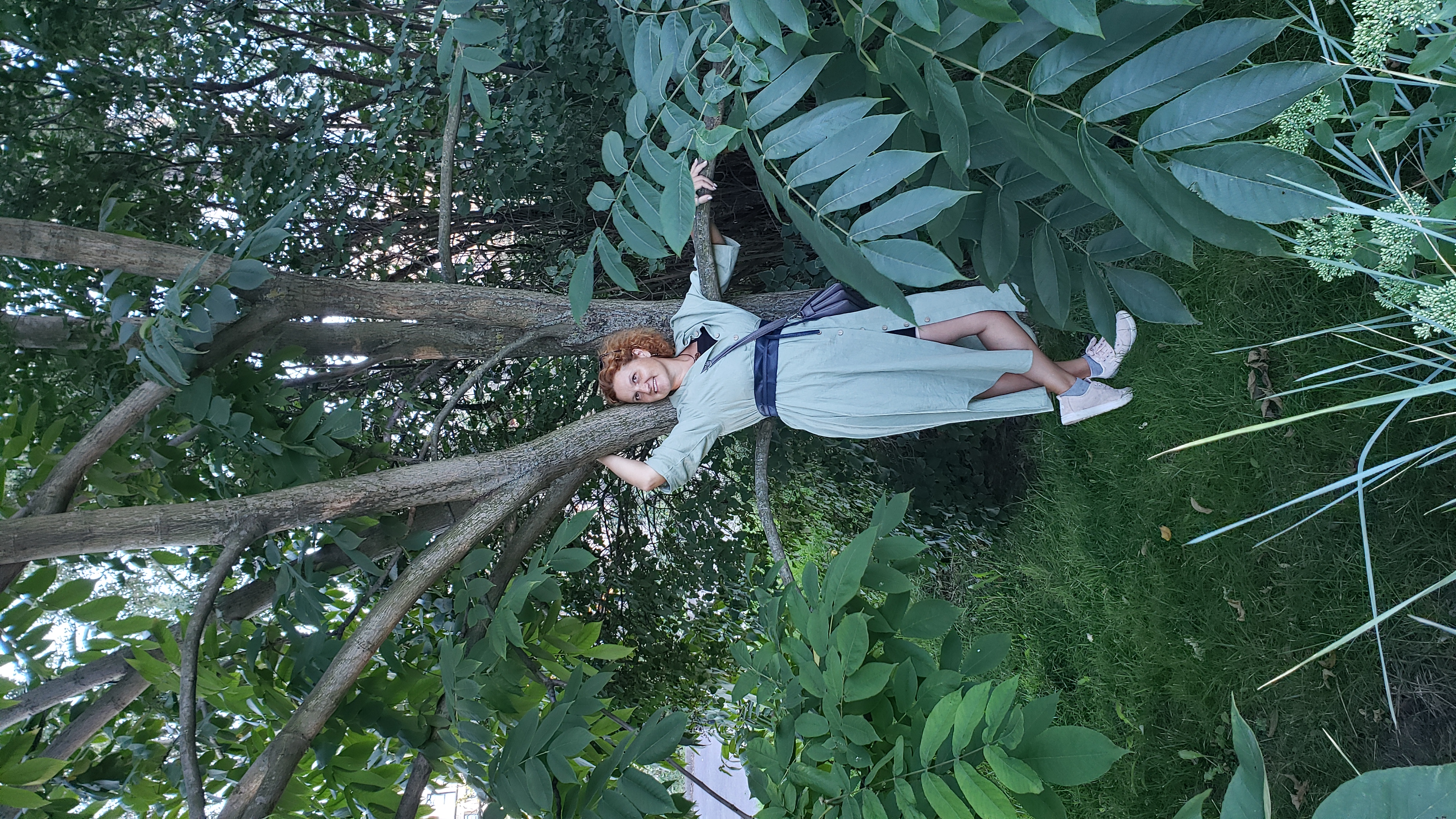 Дерево солитер - всегда выгодное решение в ландшафтном дизайне. Дерево солитер - всегда выгодное решение в ландшафтном дизайне.