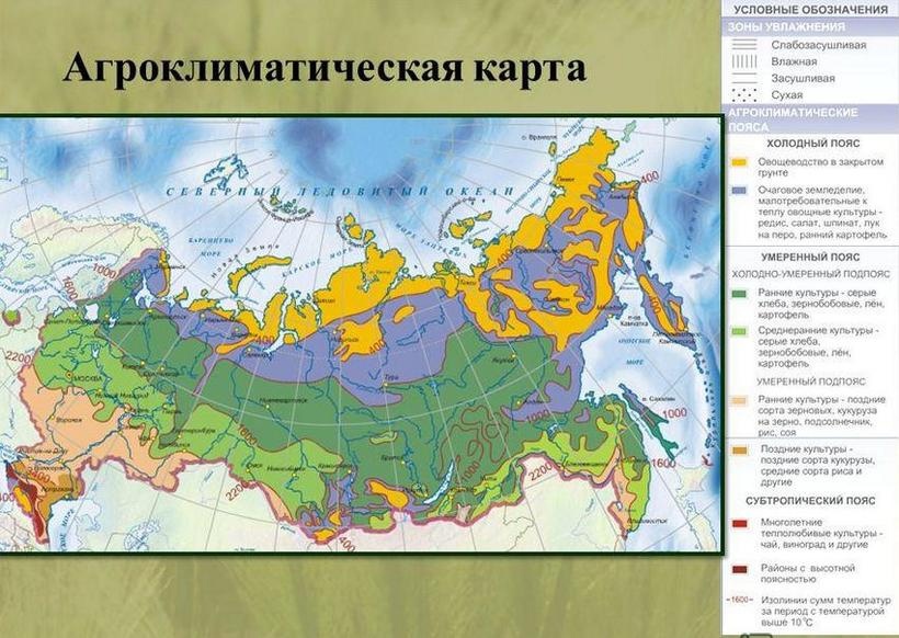 Если вы стремитесь создать малоуходный сад Если вы стремитесь создать малоуходный сад