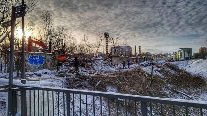 Варварское уничтожение памятника природы Варварское уничтожение памятника природы