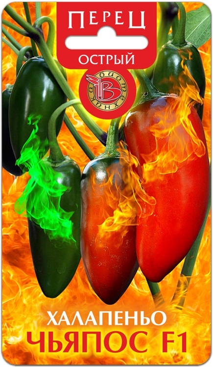 Перец острый Халапеньо Чьяпос F1. Острота, по шкале Сковилла составляет около 6000 единиц. Ощущение теплой остроты. Перец острый Халапеньо Чьяпос F1. Острота, по шкале Сковилла составляет около 6000 единиц. Ощущение теплой остроты.