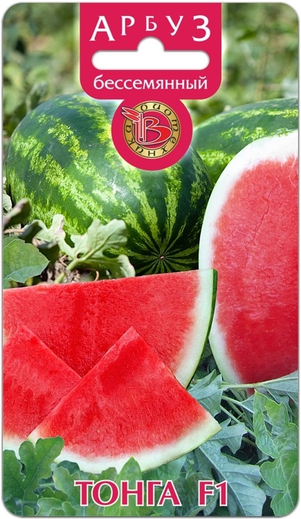 НОВИНКА! Арбуз бессемянный Тонга F1 ! Вкусные плоды без семян! НОВИНКА! Арбуз бессемянный Тонга F1 ! Вкусные плоды без семян!