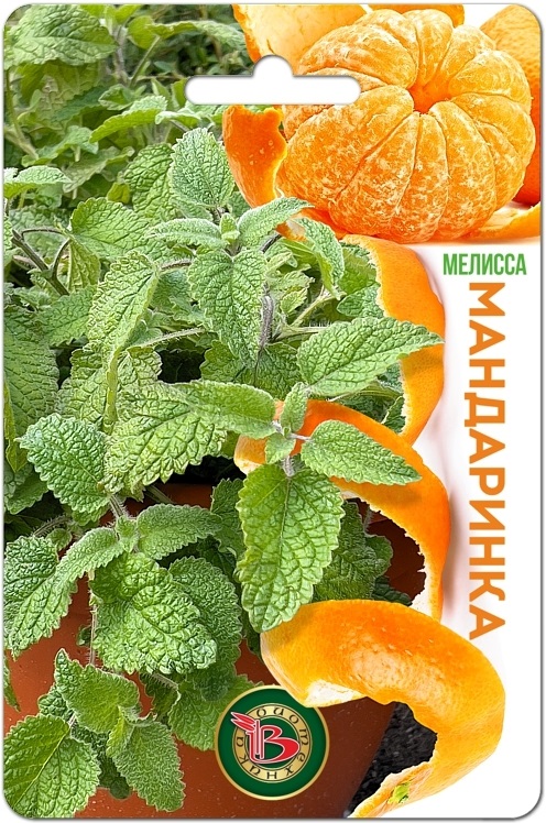Уникальная форма Мелиссы с ярким ароматом мандарина При растирании листьев, распространяется стойкий приятный цитрусовый аромат, как при очистке мандарина Уникальная форма Мелиссы с ярким ароматом мандарина При растирании листьев, распространяется стойкий приятный цитрусовый аромат, как при очистке мандарина