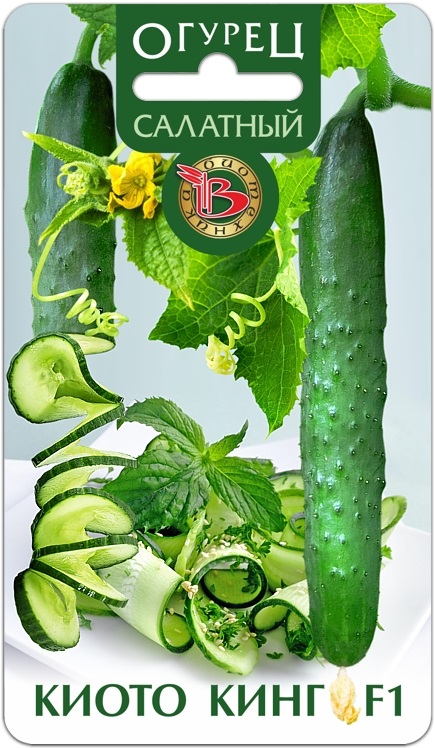 КИОТО КИНГ - азиатский тип огурца с мощным ростом, гофрированными листьями, бугорчатыми или бороздчатыми плодами и высокой устойчивостью к болезням и неблагоприятным условиям. КИОТО КИНГ - азиатский тип огурца с мощным ростом, гофрированными листьями, бугорчатыми или бороздчатыми плодами и высокой устойчивостью к болезням и неблагоприятным условиям.