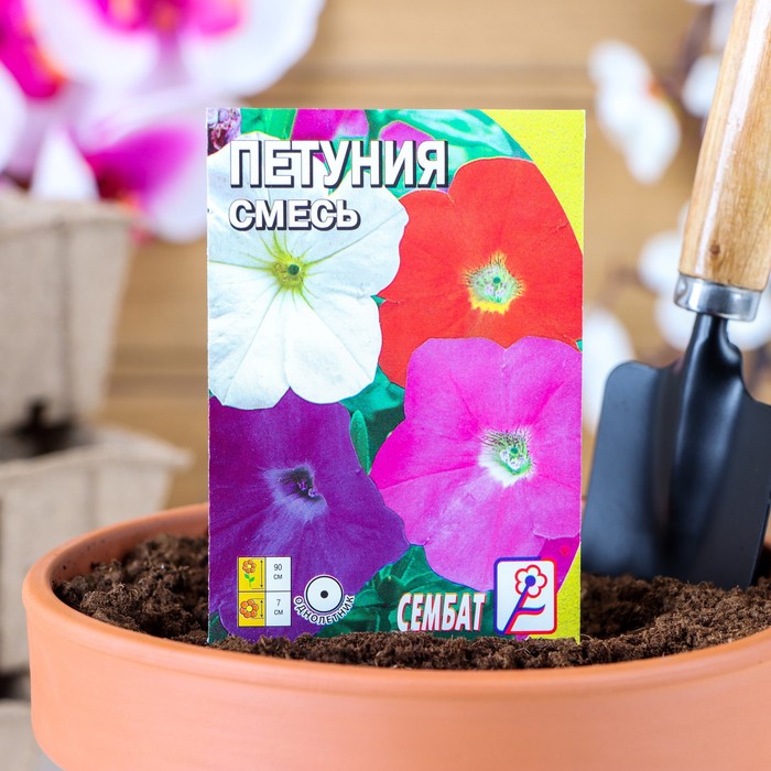 НОВИНКИ Семена однолетних цветов: Петуния НОВИНКИ Семена однолетних цветов: Петуния