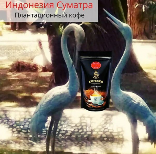 СТОП вечером! Индонезия Суматра- это терпкий, насыщенный кофе практически лишен кислотности, присутствует карамельный тон овсяного печенья, привкус хлеба, пряностей. Настой насыщенный.Букет комплексный, с преобладанием орехово-земляных тонов. СТОП вечером! Индонезия Суматра- это терпкий, насыщенный кофе практически лишен кислотности, присутствует карамельный тон овсяного печенья, привкус хлеба, пряностей. Настой насыщенный.Букет комплексный, с преобладанием орехово-земляных тонов.
