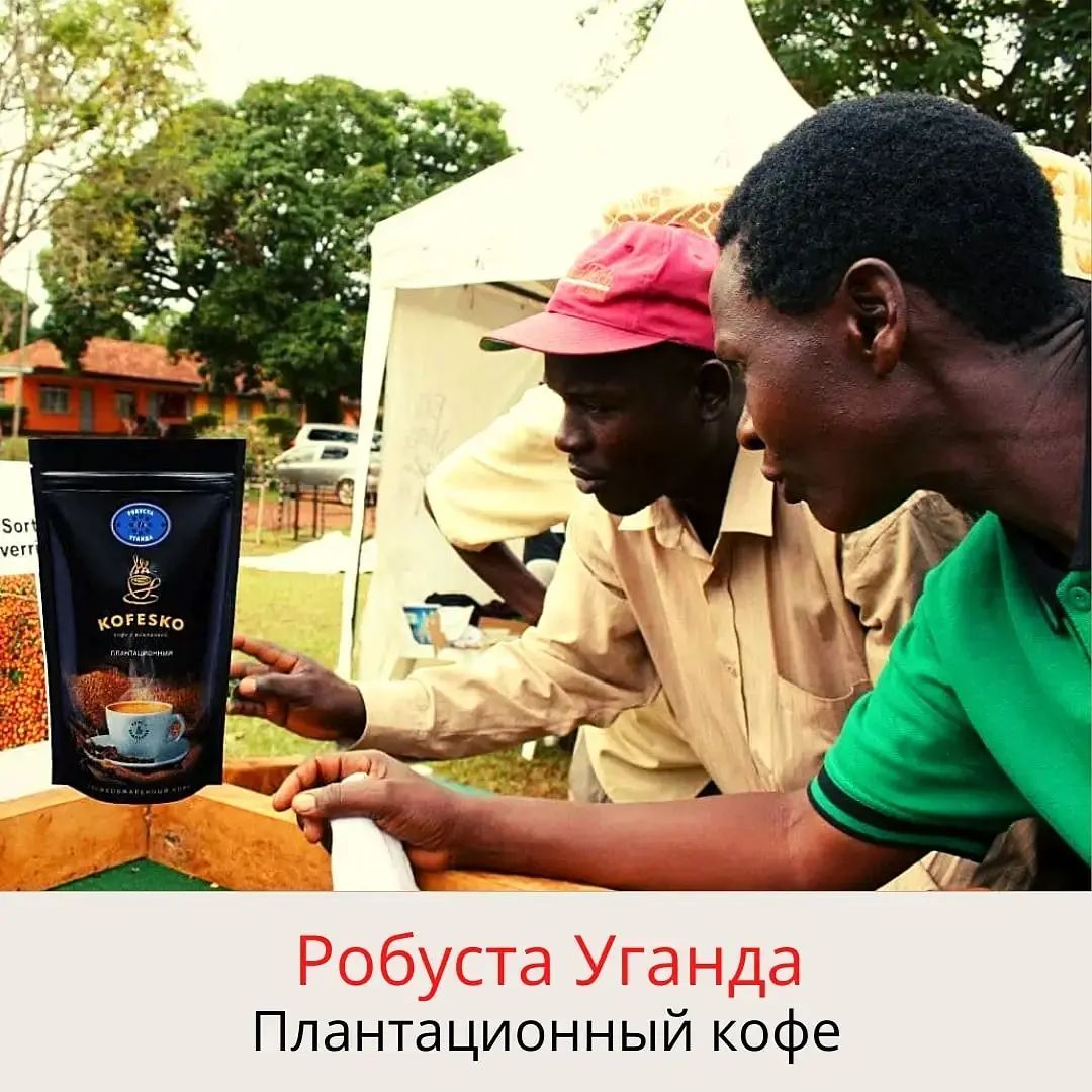 Робуста Уганда- Уганда считается родиной робусты,она обладает выраженными нотами горького темного шоколада во вкусе, высокой насыщенностью и крепостью и дает чистую чашку без неприятных привкусов. Мощность этого кофе напоминает о дикой природе африканског Робуста Уганда- Уганда считается родиной робусты,она обладает выраженными нотами горького темного шоколада во вкусе, высокой насыщенностью и крепостью и дает чистую чашку без неприятных привкусов. Мощность этого кофе напоминает о дикой природе африканског