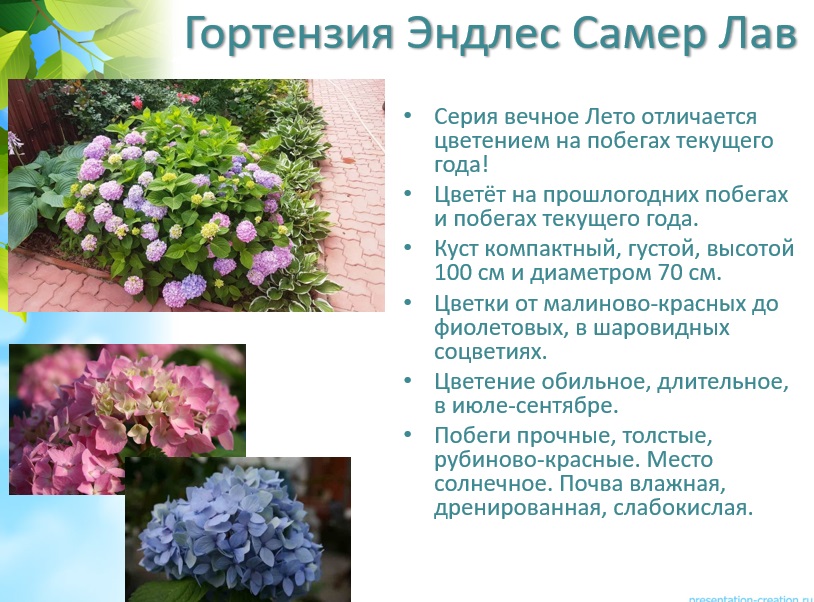 Пополнила галерею новинками!!! Пополнила галерею новинками!!!