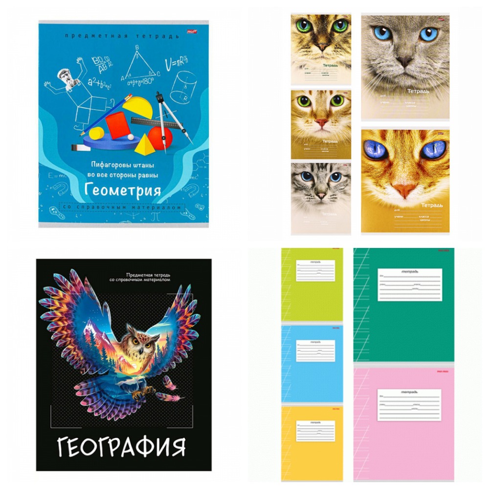 СБОР до 30.05.24 - ВСЕ В НАЛИЧИИ! Канцтовары, обувь, искусственные цветы, трикотаж! СБОР до 30.05.24 - ВСЕ В НАЛИЧИИ! Канцтовары, обувь, искусственные цветы, трикотаж!