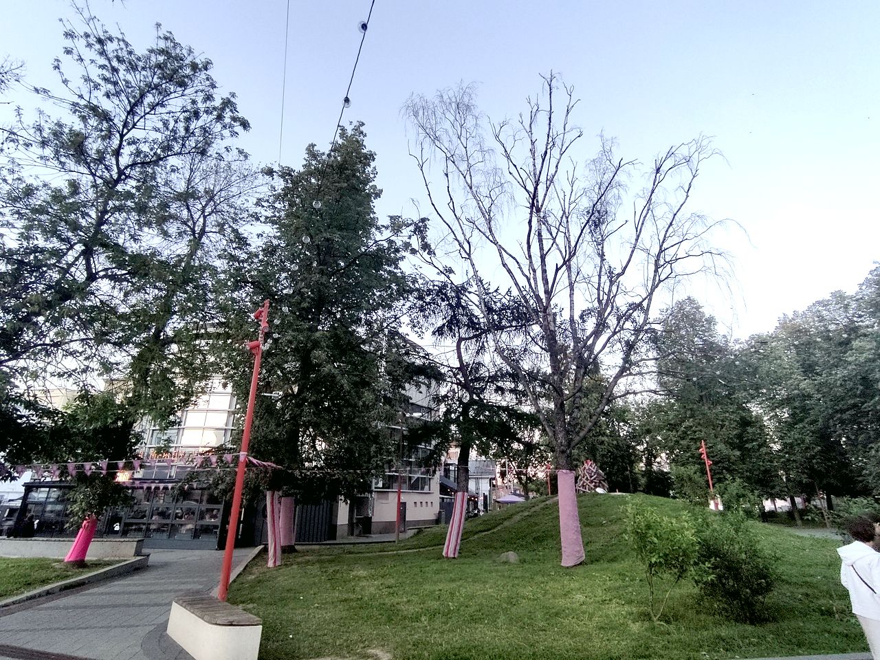 Стригущий лишай благоустройства Стригущий лишай благоустройства