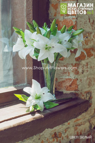 ЛИЛИИ ОТЦВЕЛИ,А У НАС ОНИ МОГУТ СТОЯТЬ В ВАЗЕ ГОДАМИ! КАК ЖИВЫЕ! ЛИЛИИ ОТЦВЕЛИ,А У НАС ОНИ МОГУТ СТОЯТЬ В ВАЗЕ ГОДАМИ! КАК ЖИВЫЕ!