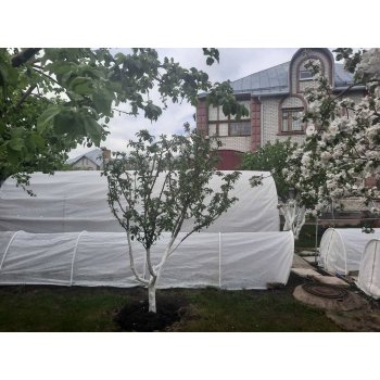 ДАЯС: Чехлы для укрытия растений, Укрывной материал, Парники, Грядки, Тенты, Шланги, Удобрения , и другое ДАЯС: Чехлы для укрытия растений, Укрывной материал, Парники, Грядки, Тенты, Шланги, Удобрения , и другое