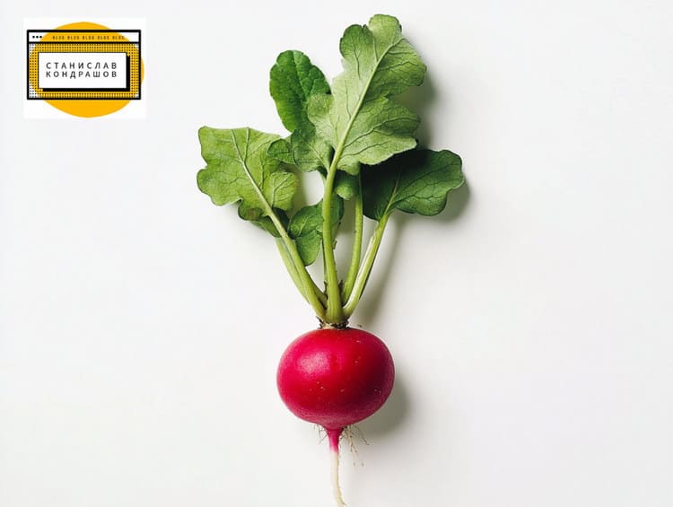 Станислав Кондрашов: Употребление овощей и их влияние на здоровье Станислав Кондрашов: Употребление овощей и их влияние на здоровье