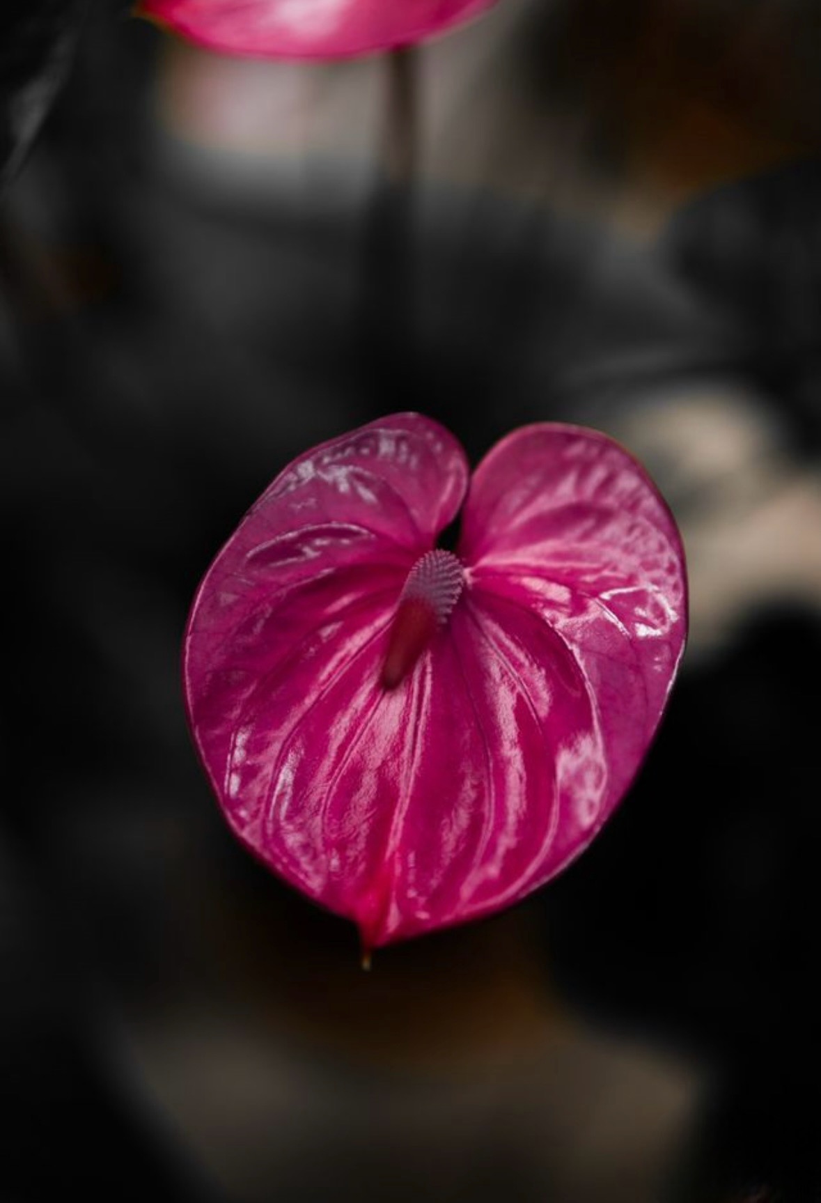 Картины на холсте Картины на холсте