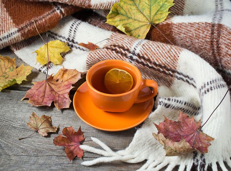 ПРИГЛАШАЮ В ОКТЯБРЬСКИЙ СБОР ЧАЯ И КОФЕ КОНУНГ. СТОП 20 ОКТЯБРЯ. ПРИГЛАШАЮ В ОКТЯБРЬСКИЙ СБОР ЧАЯ И КОФЕ КОНУНГ. СТОП 20 ОКТЯБРЯ.