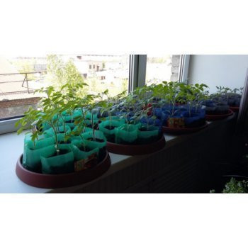 Пакеты для рассады Безопасная пересадка для корневой системы. В 6. Пакеты для рассады Безопасная пересадка для корневой системы. В 6.