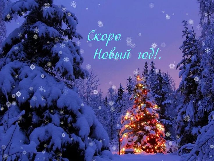 СТОП сегодня, отгрузка 3-4 января, следующая огрузка только в начале февраля с повышением цены от 15% СТОП сегодня, отгрузка 3-4 января, следующая огрузка только в начале февраля с повышением цены от 15%