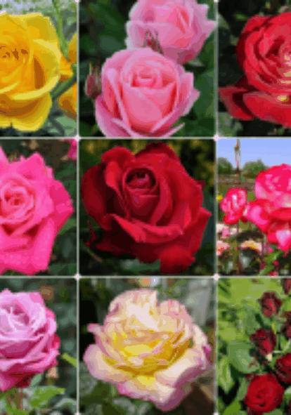 Сбор до 02.04.Знаменитые семена ТМ Аэлита и не только от 3 руб.и саженцы Роз.5. Сбор до 02.04.Знаменитые семена ТМ Аэлита и не только от 3 руб.и саженцы Роз.5.