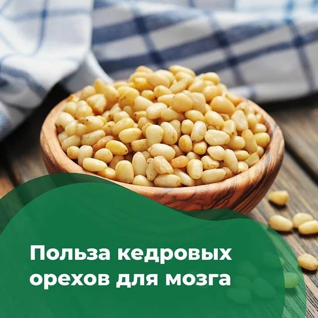 Кедровые орешки – повышают иммунитет и продлевают жизнь! Кедровые орешки – повышают иммунитет и продлевают жизнь!