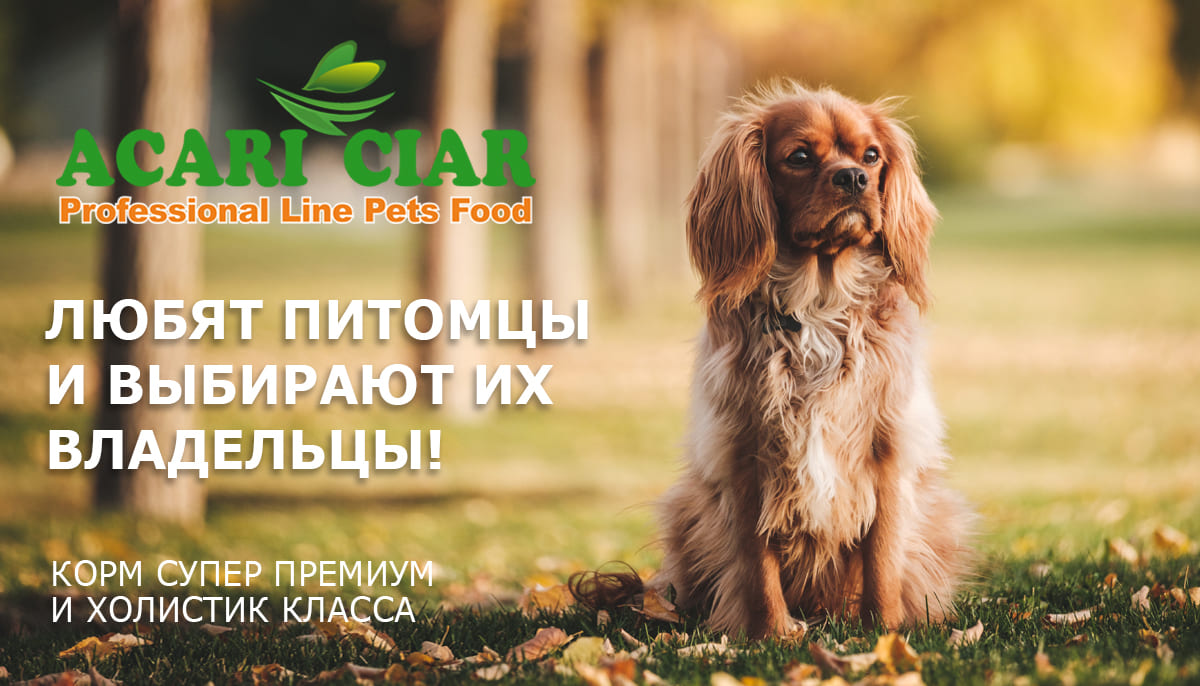 Acari Ciar (Акари Киар)-это корма, которые любят питомцы, и выбирают их владельцы! Это здоровое и натуральное питание для кошек и собак! Корма супер-премиум, холистики, диет.корма, запеченные и влажные! Цены ниже в 2 раза, чем на МП! Acari Ciar (Акари Киар)-это корма, которые любят питомцы, и выбирают их владельцы! Это здоровое и натуральное питание для кошек и собак! Корма супер-премиум, холистики, диет.корма, запеченные и влажные! Цены ниже в 2 раза, чем на МП!