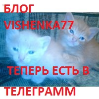 ВИШЕНКА 77 в ТЕЛЕГРАММ- подпишитесь на меня, не пропускайте новости)! ВИШЕНКА 77 в ТЕЛЕГРАММ- подпишитесь на меня, не пропускайте новости)!