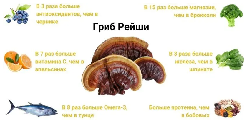 НОВИНКА! ЦИКОРИЙ С ЭКСТРАКТОМ ГРИБА РЕЙШИ НОВИНКА! ЦИКОРИЙ С ЭКСТРАКТОМ ГРИБА РЕЙШИ