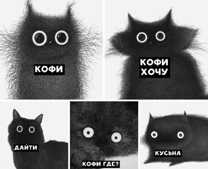 Свежеобжаренный кофе - молотый, зерно. Божественный аромат. Для заваривания в чашке. Растворимые напитки, кофе в шоколаде и др Свежеобжаренный кофе - молотый, зерно. Божественный аромат. Для заваривания в чашке. Растворимые напитки, кофе в шоколаде и др