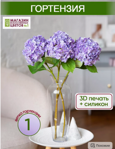 Гортензия Одиночная. Очень пышная и классная Гортензия Одиночная. Очень пышная и классная