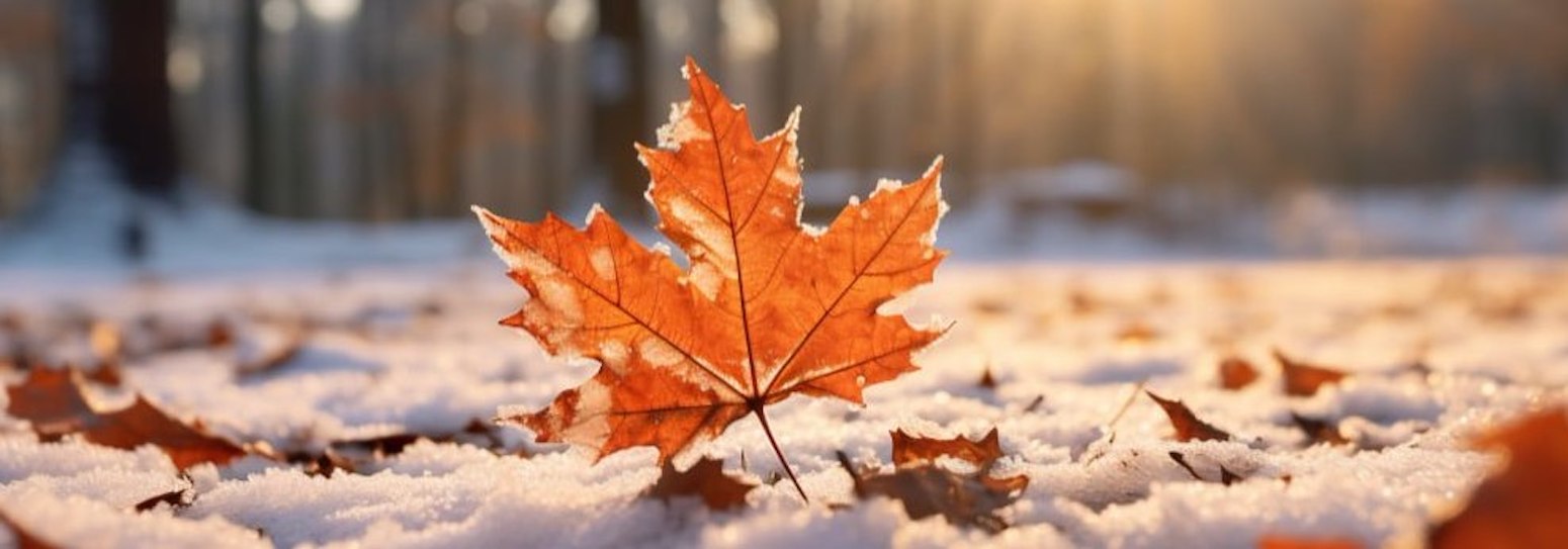 Обновлённый пристрой! Обновлённый пристрой!