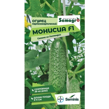 До 10.01 Семена овощей и цветов из Голландии!Богатый урожай Вам обеспечен!Качество проверено ни одним урожаем!!! До 10.01 Семена овощей и цветов из Голландии!Богатый урожай Вам обеспечен!Качество проверено ни одним урожаем!!!