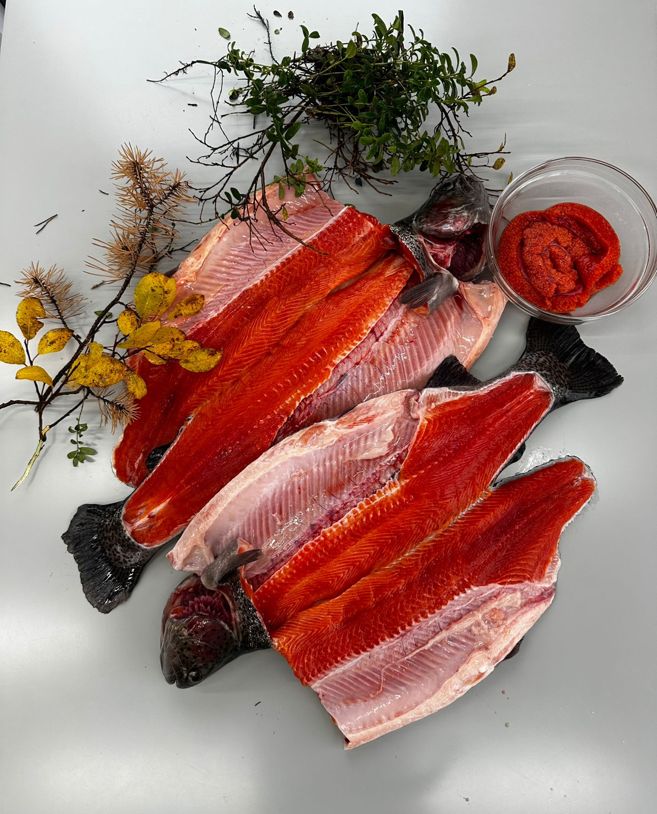 Сбор по рыбке!!!! сегодня стоп!!!!!! Сбор по рыбке!!!! сегодня стоп!!!!!!