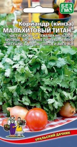 ХИТ!) Кориандр (кинза) Малахитовый титан // Уральский Дачник 14 руб. ХИТ!) Кориандр (кинза) Малахитовый титан // Уральский Дачник 14 руб.