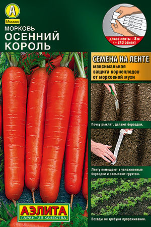ХИТ!) Морковь Осенний король // Аэлита 15 руб. ХИТ!) Морковь Осенний король // Аэлита 15 руб.