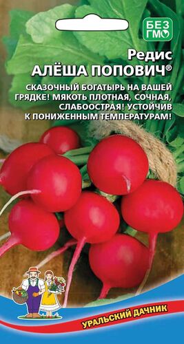 ХИТ!) Редис Алеша Попович // Уральский Дачник 15 руб. ХИТ!) Редис Алеша Попович // Уральский Дачник 15 руб.