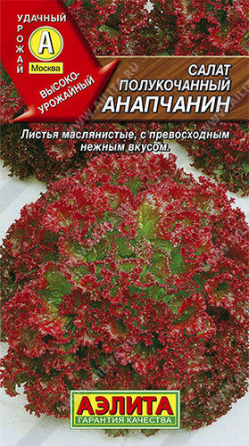 ХИТ!) Салат Анапчанин // Аэлита 10 руб. ХИТ!) Салат Анапчанин // Аэлита 10 руб.