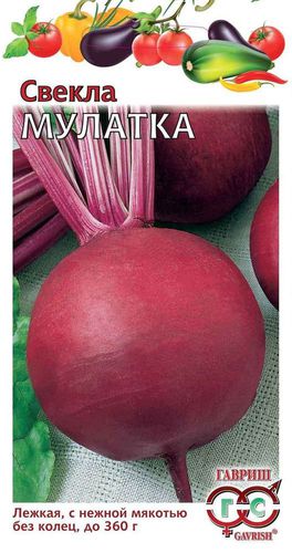 ХИТ!) Свекла Мулатка // Гавриш 15 руб. ХИТ!) Свекла Мулатка // Гавриш 15 руб.