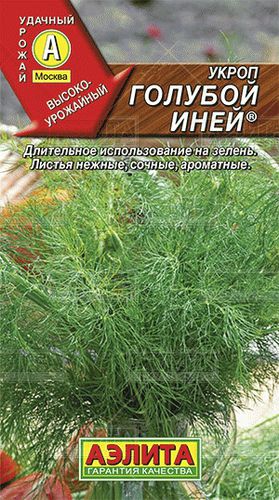ХИТ!) Укроп Голубой Иней // Аэлита 15 руб. ХИТ!) Укроп Голубой Иней // Аэлита 15 руб.