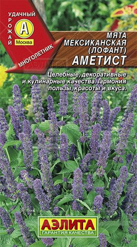 ХИТ!) Мята Мексиканская Аметист // Аэлита 15 руб. ХИТ!) Мята Мексиканская Аметист // Аэлита 15 руб.