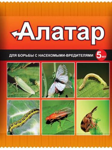 ХИТ!) Алатар от Жука Тли 22 руб. ХИТ!) Алатар от Жука Тли 22 руб.